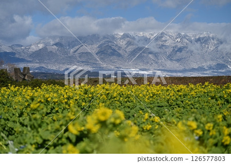 Daiichi Nagisa Park強姦場 Daiichi Nagisa Park強姦場 126577803