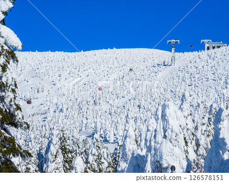 A vast forest of frost-covered trees with a ropeway leading to the summit (Zao Onsen Ski Resort, Yamagata Prefecture) A vast forest of frost-covered trees with a ropeway leading to the summit (Zao Onsen Ski Resort, Yamagata Prefecture) 126578151