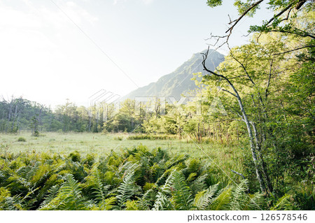 <Nagano> The magnificent views of Kamikochi: Dakezawa Marsh and Mt. Rokuhyaku 126578546