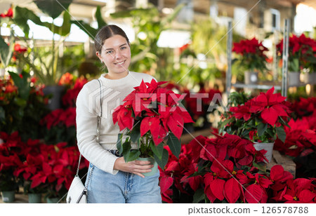 Young woman buy potted flowering poinsettia plant in shop 126578788