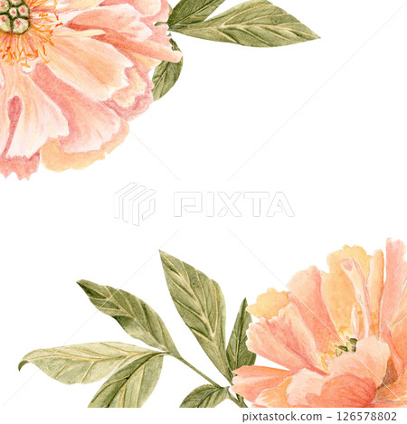 Corner composition with soft coral peonies leaves isolated on white, painted in watercolor, ideal for wedding invitations, RSVP cards, branding, packaging, elegant stationery for romantic businesses 126578802