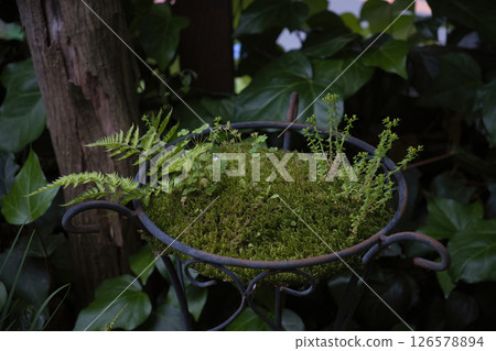 北鎌倉怒府市 126578894