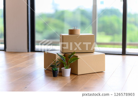 Room with cardboard Room with cardboard 126578903