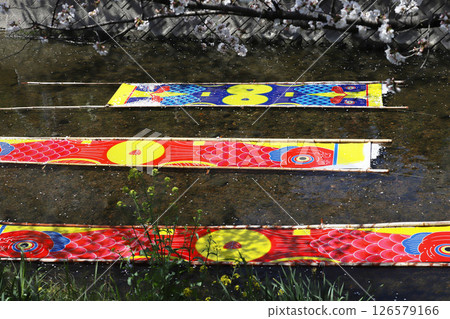 櫻花,岩倉市,櫻花節,五條川,愛知縣 櫻花,岩倉市,櫻花節,五條川,愛知縣 126579166