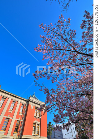 <Aichi Prefecture> Nagoya City Municipal Archives and cherry blossoms in full bloom in spring <Aichi Prefecture> Nagoya City Municipal Archives and cherry blossoms in full bloom in spring 126579355