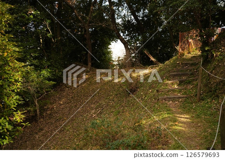 A path filled with light 126579693