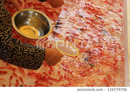 Goldfish scooping  126579706