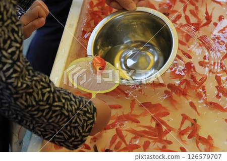 金魚舀 金魚舀 126579707