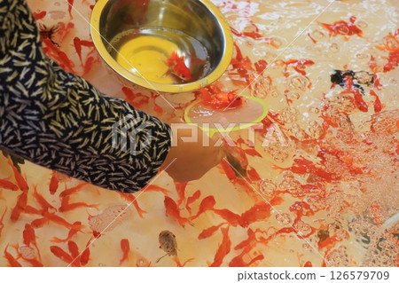 金魚舀 126579709