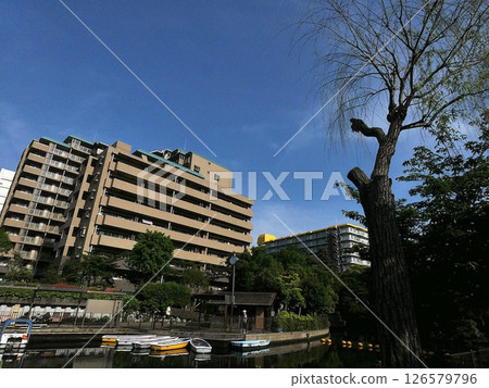 [公園和公寓] 安靜的住宅區 126579796