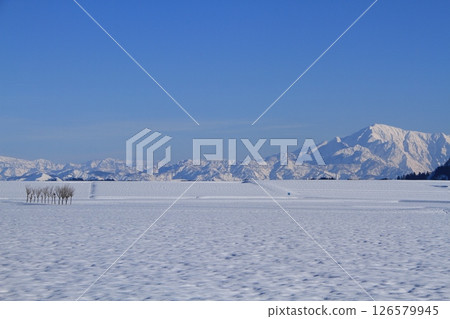 Snowscape of the Echigo Sanzan mountains and the hawthorn trees of the Ikehara snowfields in Ojiya, Niigata Prefecture 126579945