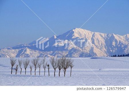 新潟縣小千谷市越後三山的雪景和池原雪原的山楂樹 126579947