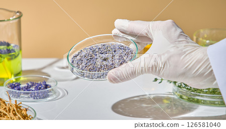 Placing lavender flowers into glass container during the preparation process for natural ingredient testing in lab. Dried lavender has many uses in cosmetics and scent solutions. Placing lavender flowers into glass container during the preparation process for natural ingredient testing in lab. Dried lavender has many uses in cosmetics and scent solutions. 126581040