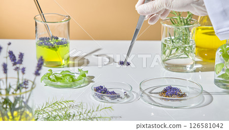 Laboratory flat lay of dried lavender, glass flasks, essential oils, and herbs used in natural cosmetic or medicinal research. 126581042