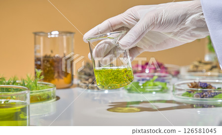 A researcher's hand holds a beaker containing tea tree leaves and their essential oil on a laboratory floor. Various herbs are displayed in lab glassware for decoration. A researcher's hand holds a beaker containing tea tree leaves and their essential oil on a laboratory floor. Various herbs are displayed in lab glassware for decoration. 126581045