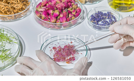 Delicately placing flower petals into petri dish as part of a controlled natural experiment in herbal research. Close-up of mixing and studying herbs in the lab Delicately placing flower petals into petri dish as part of a controlled natural experiment in herbal research. Close-up of mixing and studying herbs in the lab 126581050
