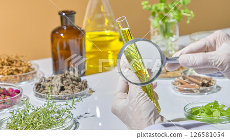 Observing natural dried herbs and flowers using magnifying glass to evaluate purity and consistency. In a test tube containing a branch of tea tree and its essential oil 126581054