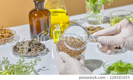 Gloved hand holding magnifying glass to examine dried herb texture and quality before laboratory testing. Many herbs are kept in a laboratory tray on a white table. 126581055