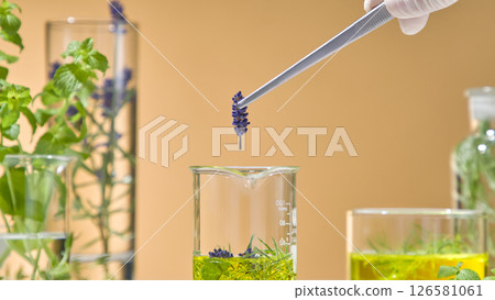 Close-up of tweezers picking up a lavender branch and preparing to drop it into a beaker containing essential oils and green herbs. Scientific research on herbs Close-up of tweezers picking up a lavender branch and preparing to drop it into a beaker containing essential oils and green herbs. Scientific research on herbs 126581061