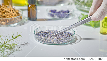 Researcher measuring dried botanical materials on a lab bench filled with herbs and glass jars of natural oil. Laboratory concept with herbal Researcher measuring dried botanical materials on a lab bench filled with herbs and glass jars of natural oil. Laboratory concept with herbal 126581070