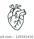 Black and White Vector Illustration of Human Heart Anatomy 126581416
