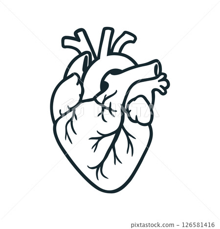 Black and White Vector Illustration of Human Heart Anatomy 126581416