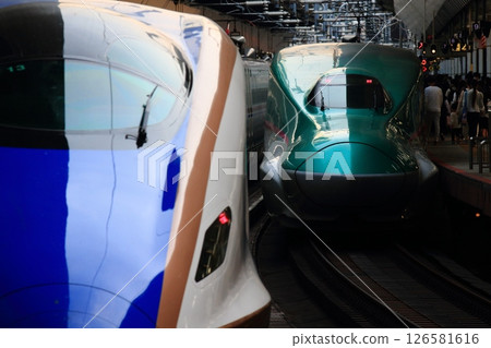 Kagayaki and Hayabusa: Tohoku Shinkansen and Hokuriku Shinkansen lined up at Tokyo Station 126581616