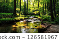 一條清澈的溪流流過新鮮的綠色森林 126581967