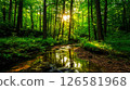 森林裡安靜的森林 126581968