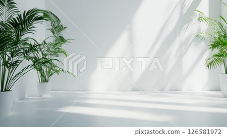 房間裡有窗戶，光線可以照進來 126581972