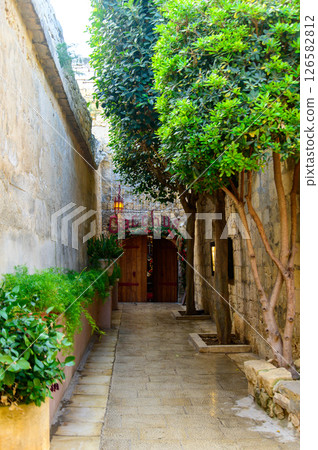 A beautiful view of Mdina, the oldest city in Malta A beautiful view of Mdina, the oldest city in Malta 126582812
