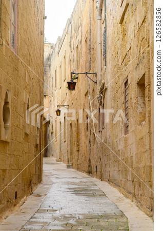 馬耳他最古老的城市姆迪納的美麗景色 馬耳他最古老的城市姆迪納的美麗景色 126582856