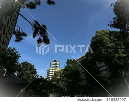 [Landscape and Apartments] A quiet residential area with lush greenery - Blurring the corners 126582997
