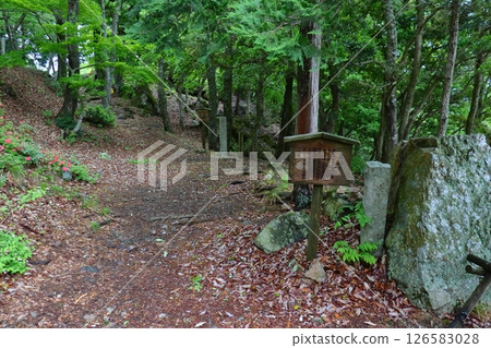 前往小谷城本城的登山步道（姉川合戰觀景台附近） 126583028