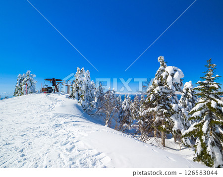 Snow melting on the trees in the frost-covered fields (Zao Onsen Ski Resort, Yamagata Prefecture) 126583044