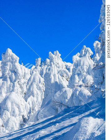 Ice-covered trees covered with snow (Zao Onsen Ski Resort, Yamagata Prefecture) 126583045