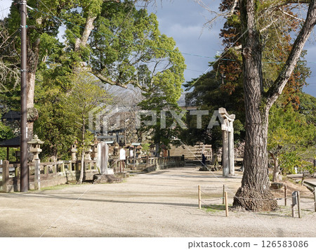 松江神社是祭祀移居到松江城二之丸地區的松江藩主鬆平的神社。 126583086