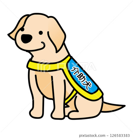 Droopy-eared service dog 126583383