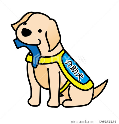 A floppy-eared service dog bringing socks 126583384