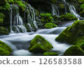 新鮮的綠色前瀑布水下的水 126583588