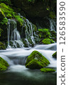 新鮮的綠色前瀑布水下的水 126583590