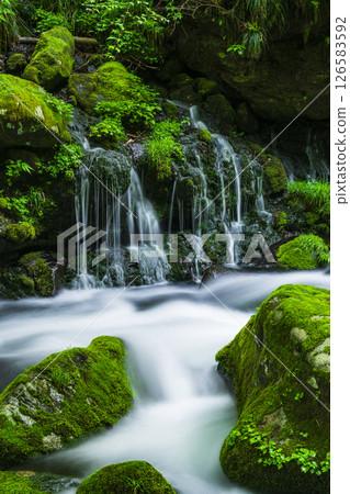 Fresh green former falls underwater water Fresh green former falls underwater water 126583592
