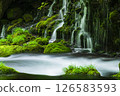 新鮮的綠色前瀑布水下的水 126583593
