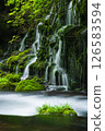 新鮮的綠色前瀑布水下的水 126583594