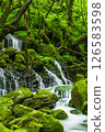 新鮮的綠色前瀑布水下的水 126583598
