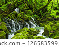 新鮮的綠色前瀑布水下的水 126583599