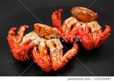 兩隻帶籽的花咲蟹排列在一起。附有內魚卵和外魚卵。黑色背景 兩隻帶籽的花咲蟹排列在一起。附有內魚卵和外魚卵。黑色背景 126583697