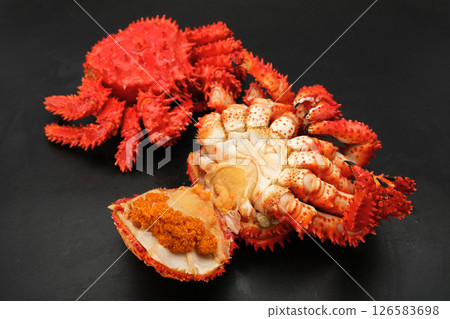 黑色背景上帶籽的花咲蟹（有內籽和外籽） 126583698