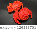 A photo of two Hanasaki crabs lined up. Black background 126583701