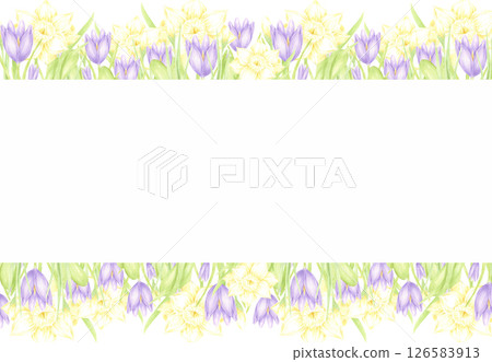 Hand drawn watercolor daffodil and crocus with green leaves frame border isolated on white background. Can be used for postcard, invitation, scrapbook and other printed products. 126583913